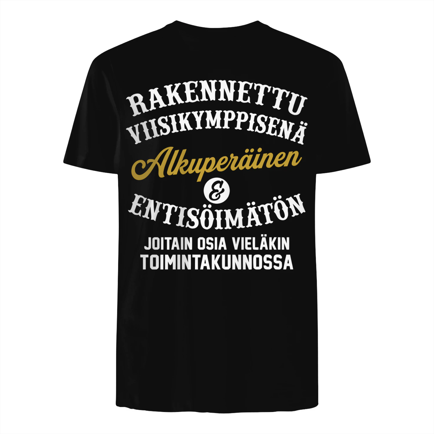 RAKENNETTU VIISIKYMPPISENÄ – JOITAIN OSIA VIELÄKIN TOIMINTAKUNNOSSA 💪