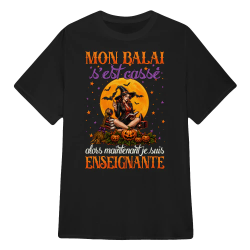 FR0194 - Mon balai s'est cassé alors maintenant je suis enseignante