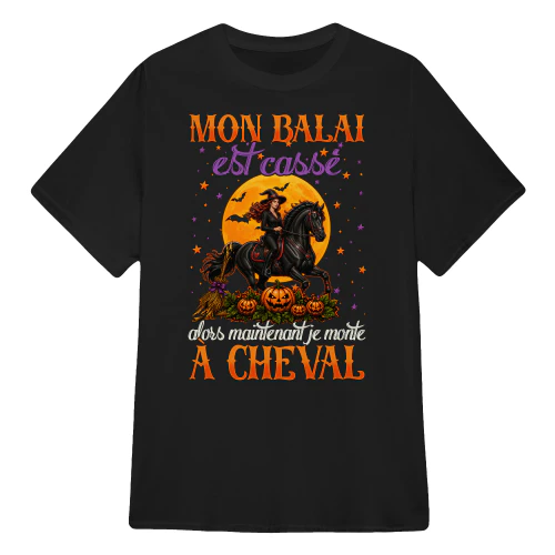 FR0189 - Mon balai est cassé alors maintenant je monte à cheval