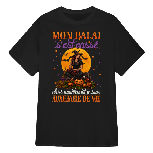 FR0200 - Mon balai s'est cassé alors maintenant je suis auxiliaire de vie