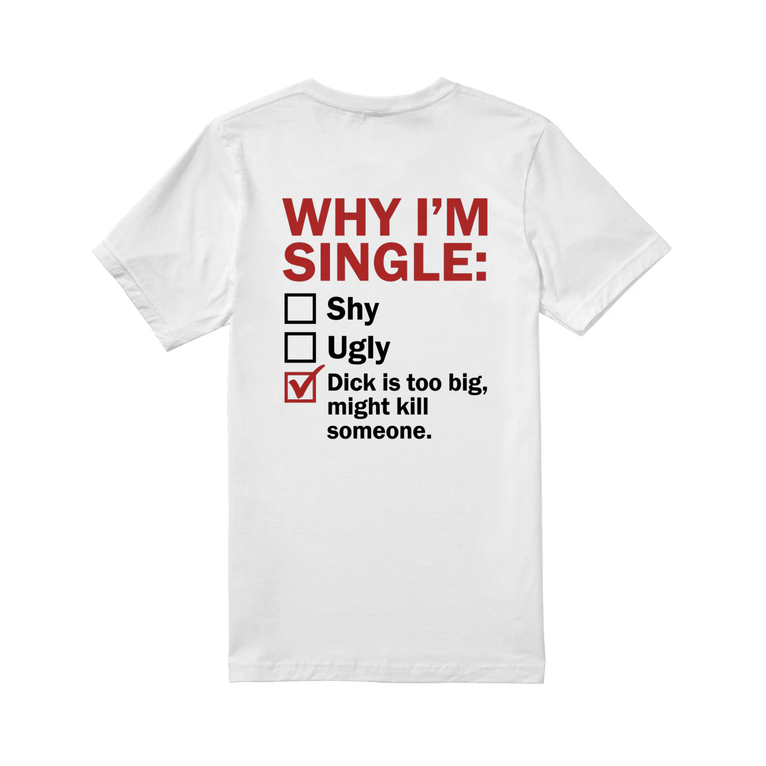Why I’m Single Funny T-Shirt