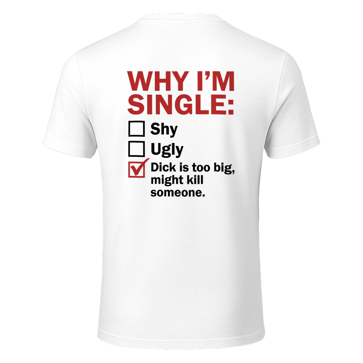 Why I’m Single Funny T-Shirt
