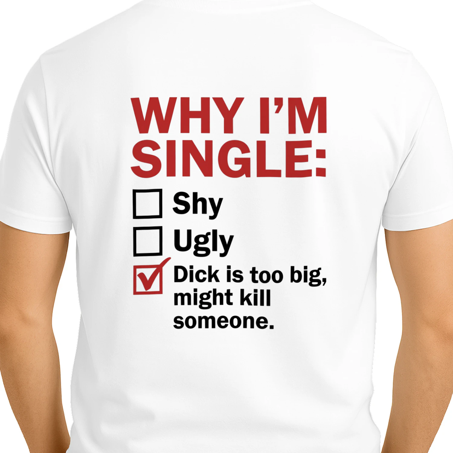 Why I’m Single Funny T-Shirt
