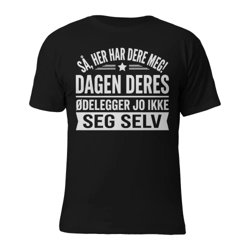 Så, her har dere meg! Dagen deres ødelegger jo ikke seg selv