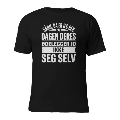 Sånn, da er jeg her. Dagen deres ødelegger jo ikke seg selv