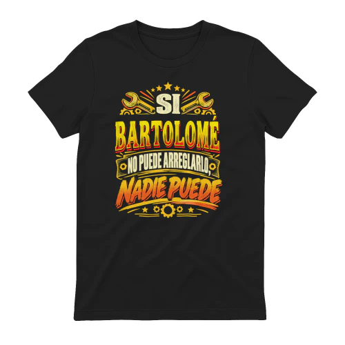 ES1N11S0308 - Bartolomé Puede Arreglarlo