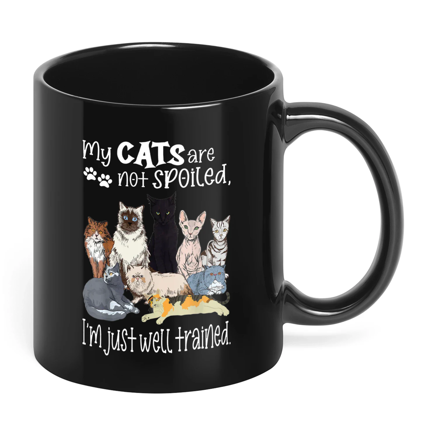 04 My Cats Are Not Spoiled I'm Just Well Cat