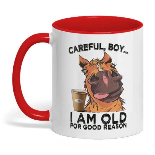 Careful Boy I'm Am Old For Good Reason Horse