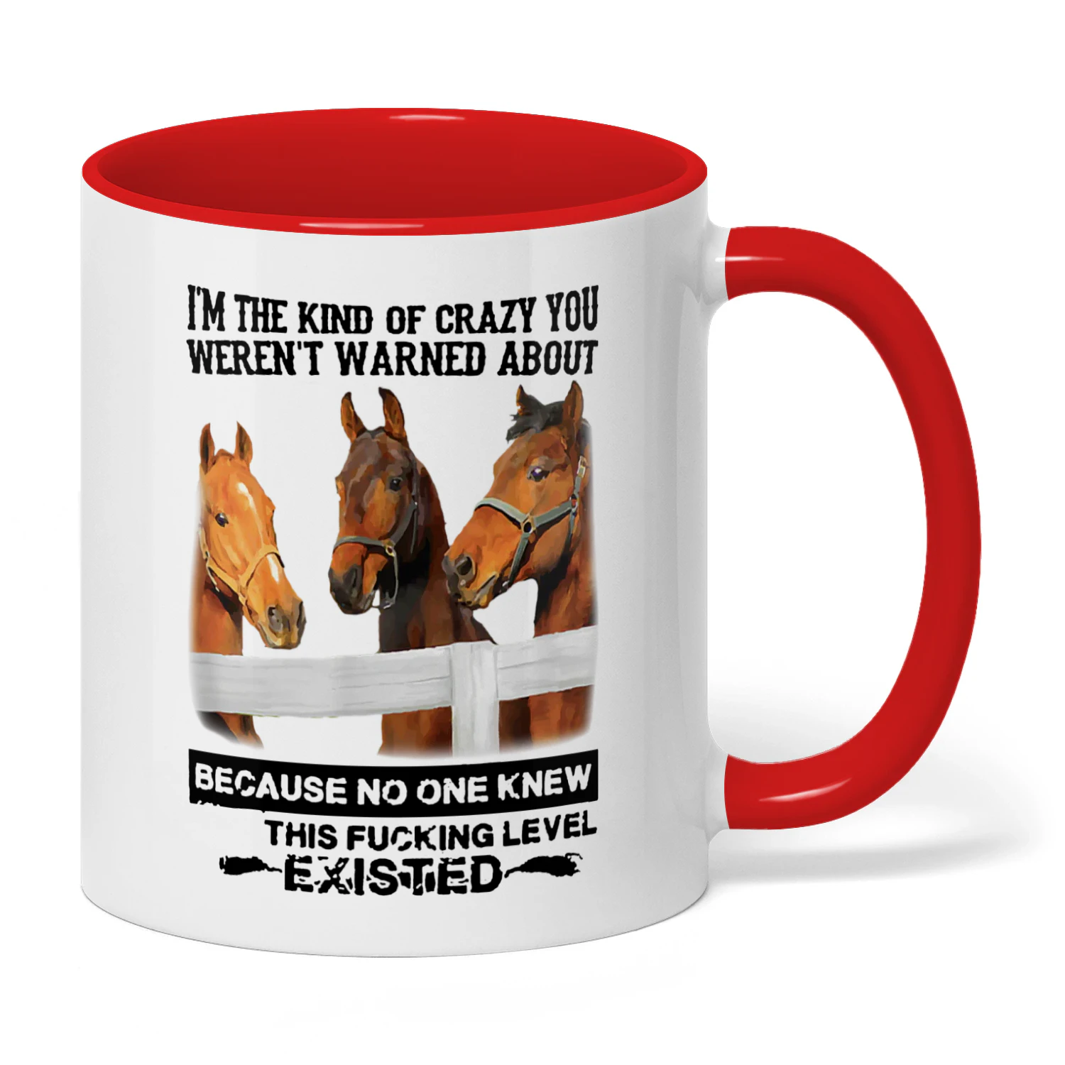 I'm The Kind Of Crazy You Weren't Horse