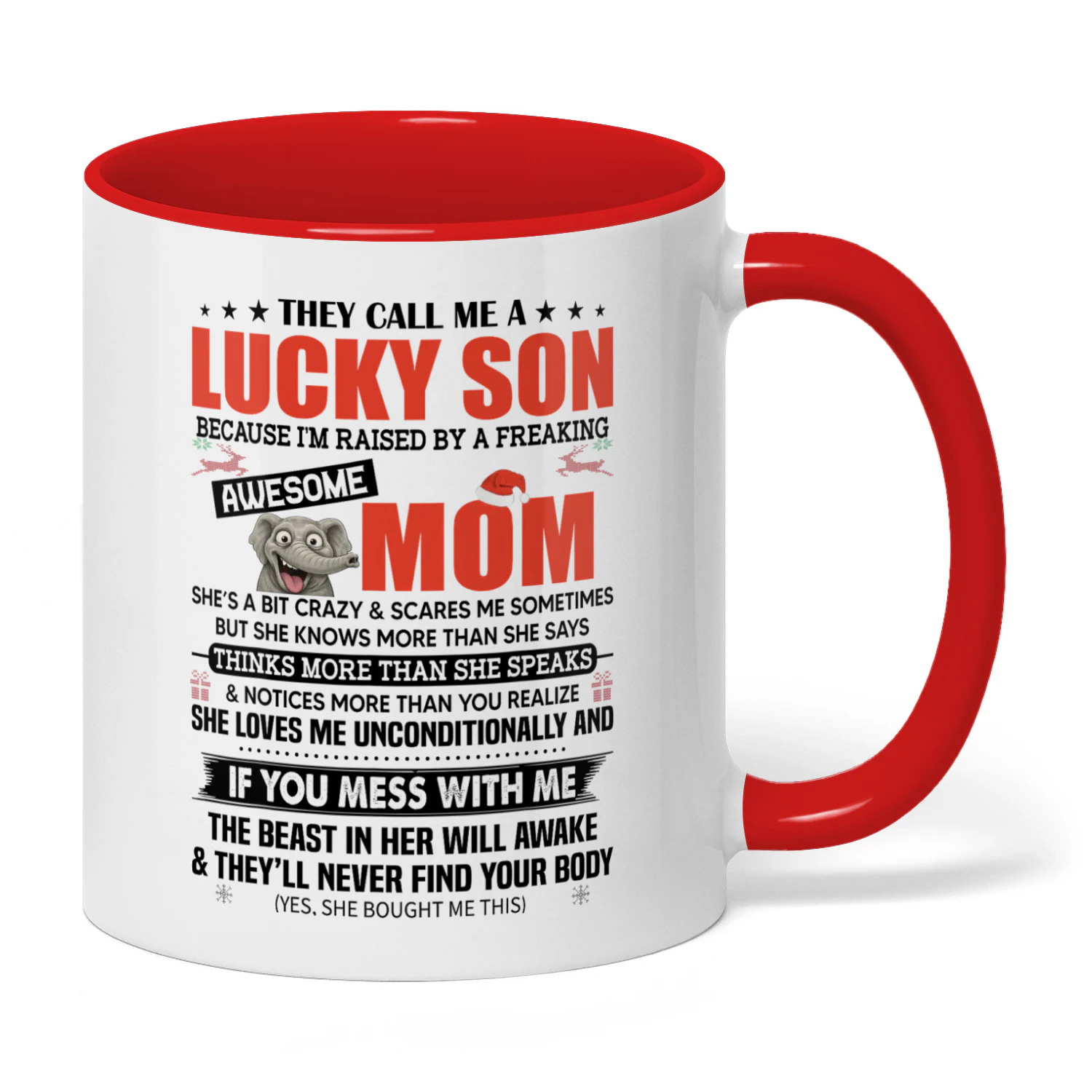They Call Me A Lucky Son Because Mom Elephant