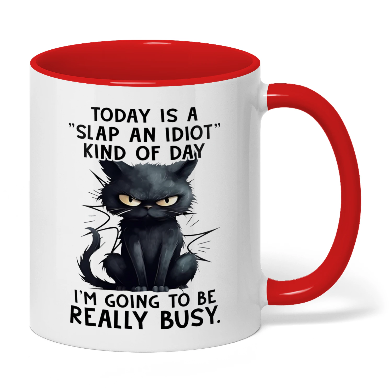 Today Is A Slap An Idiot Kind Of Cat