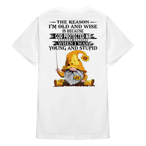 The Reason I'm Old And Wise Is Because Gnome