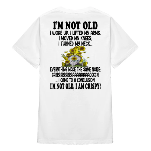 I'm Not Old I Woke Up I Lifted Gnome