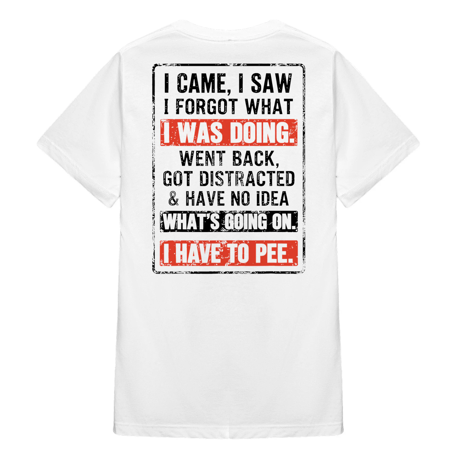 I Came I Saw I Forgot What