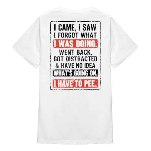 I Came I Saw I Forgot What