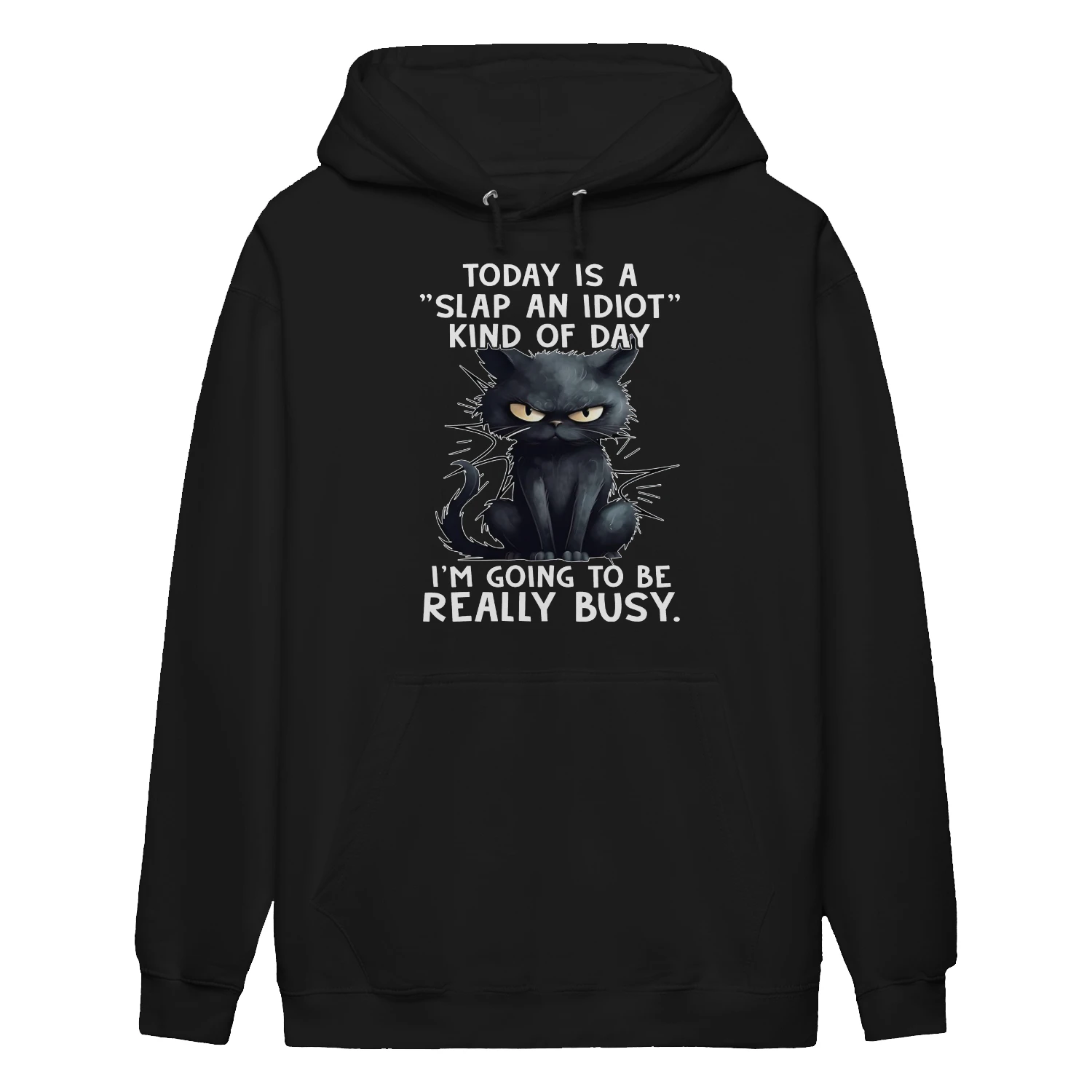 Today Is A Slap An Idiot Kind Of Cat