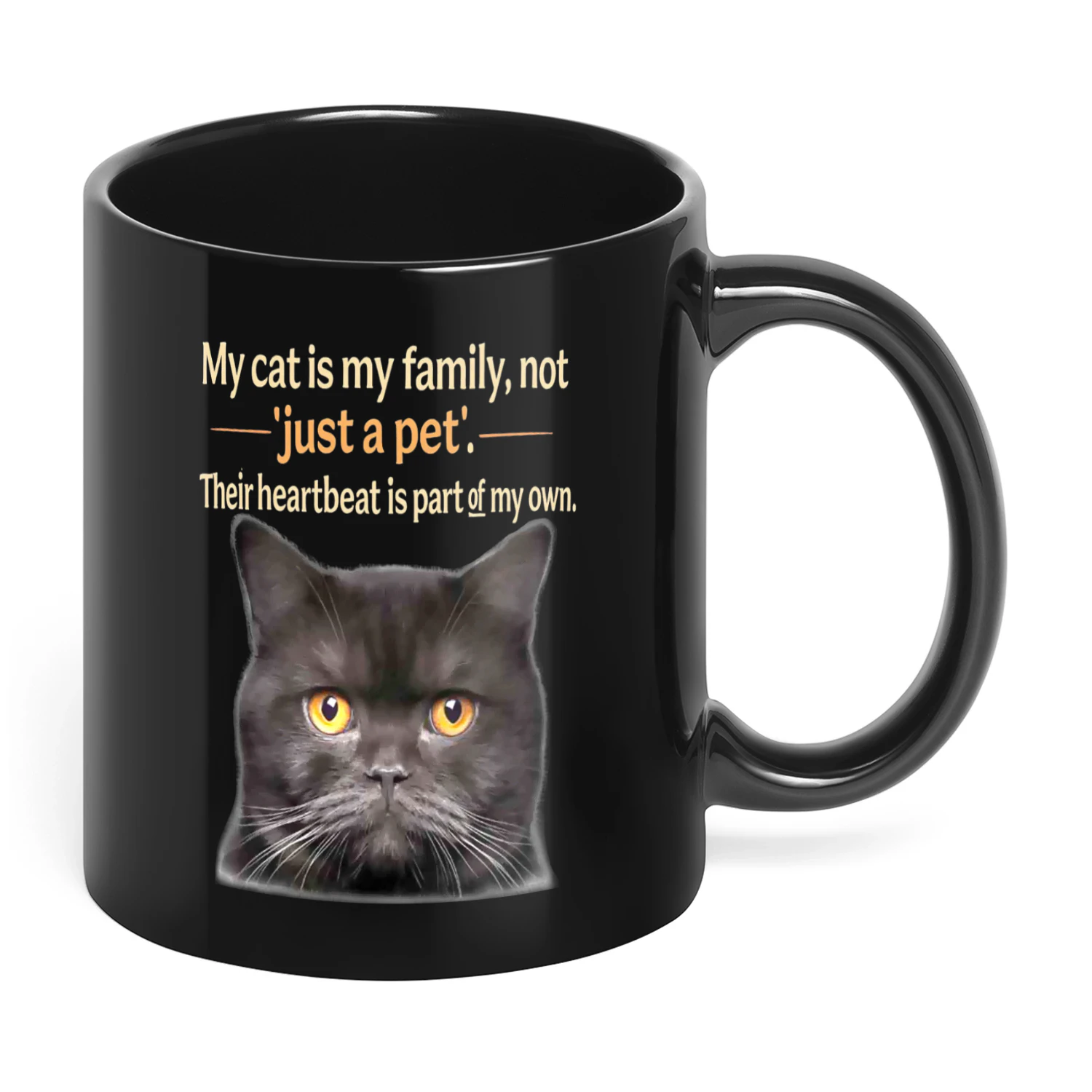 My Cat Is My Family Not Just Cat