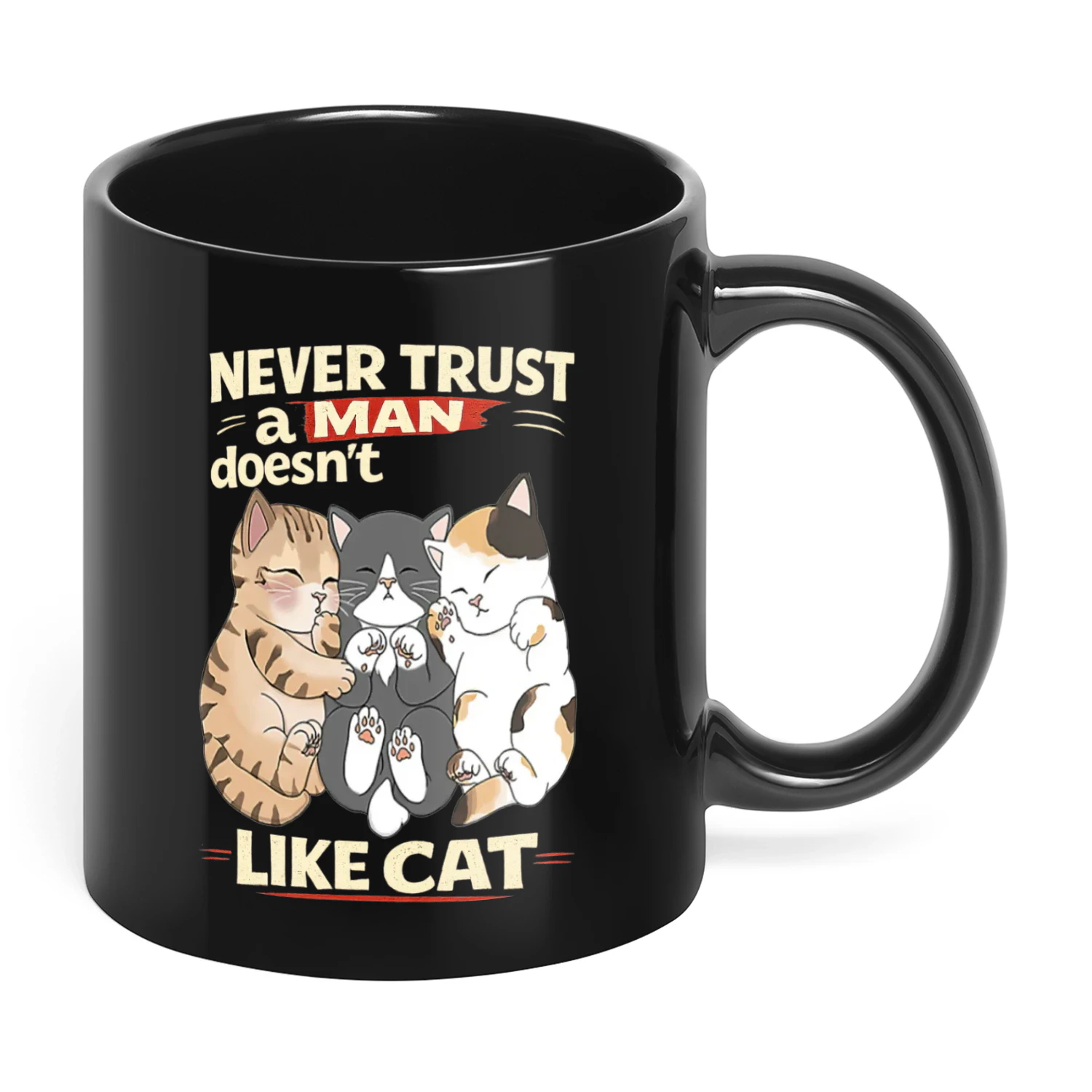 Never Trust A Man Doesn't Like Cat