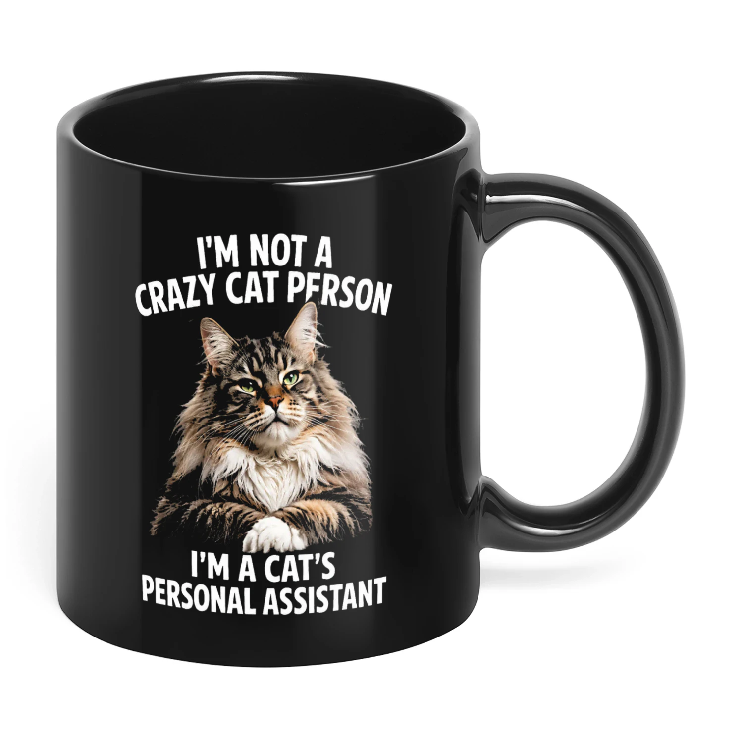 51 I'm Not A Crazy Cat Person Cat