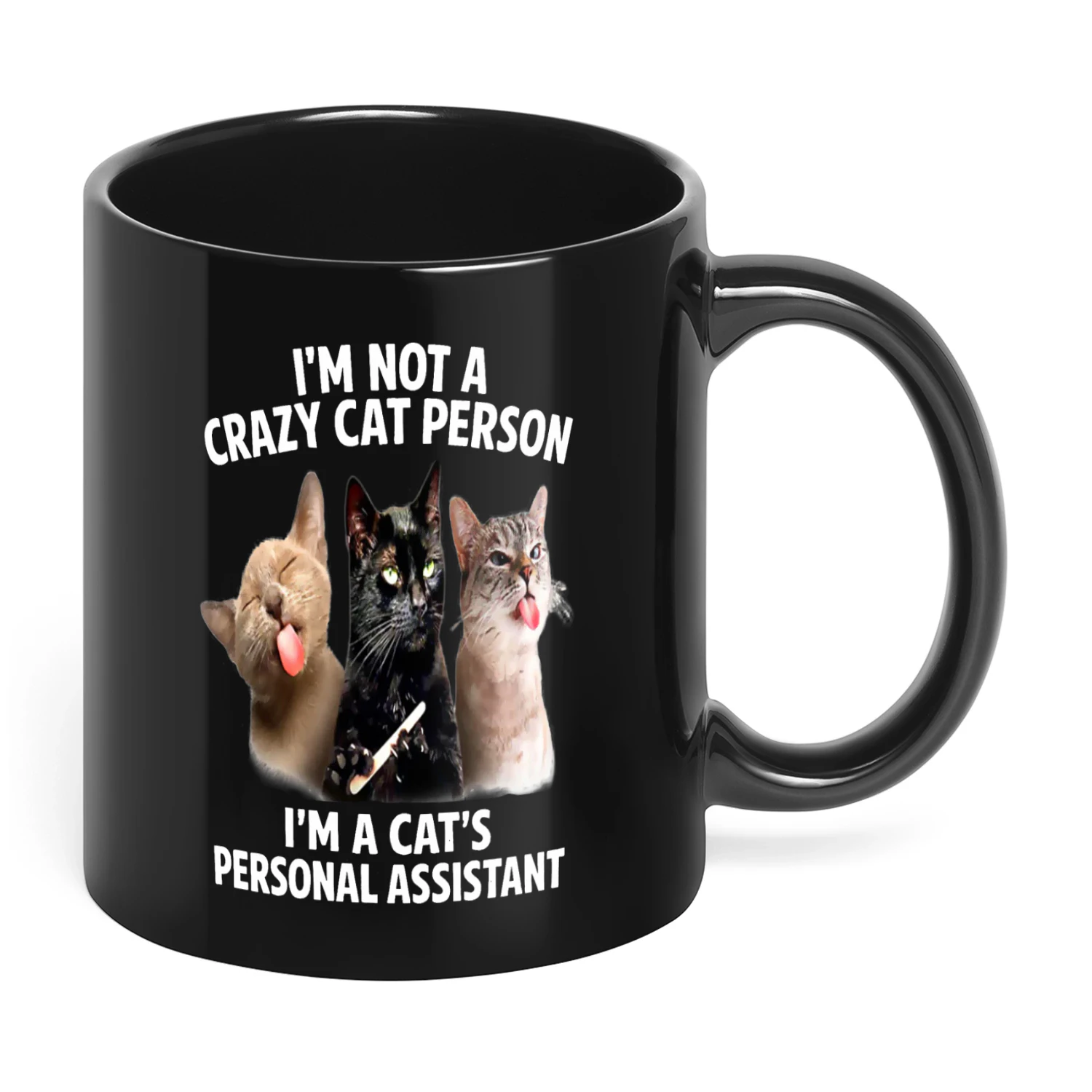 I'm Not A Crazy Cat Person I'm A Cat's Personal Cat