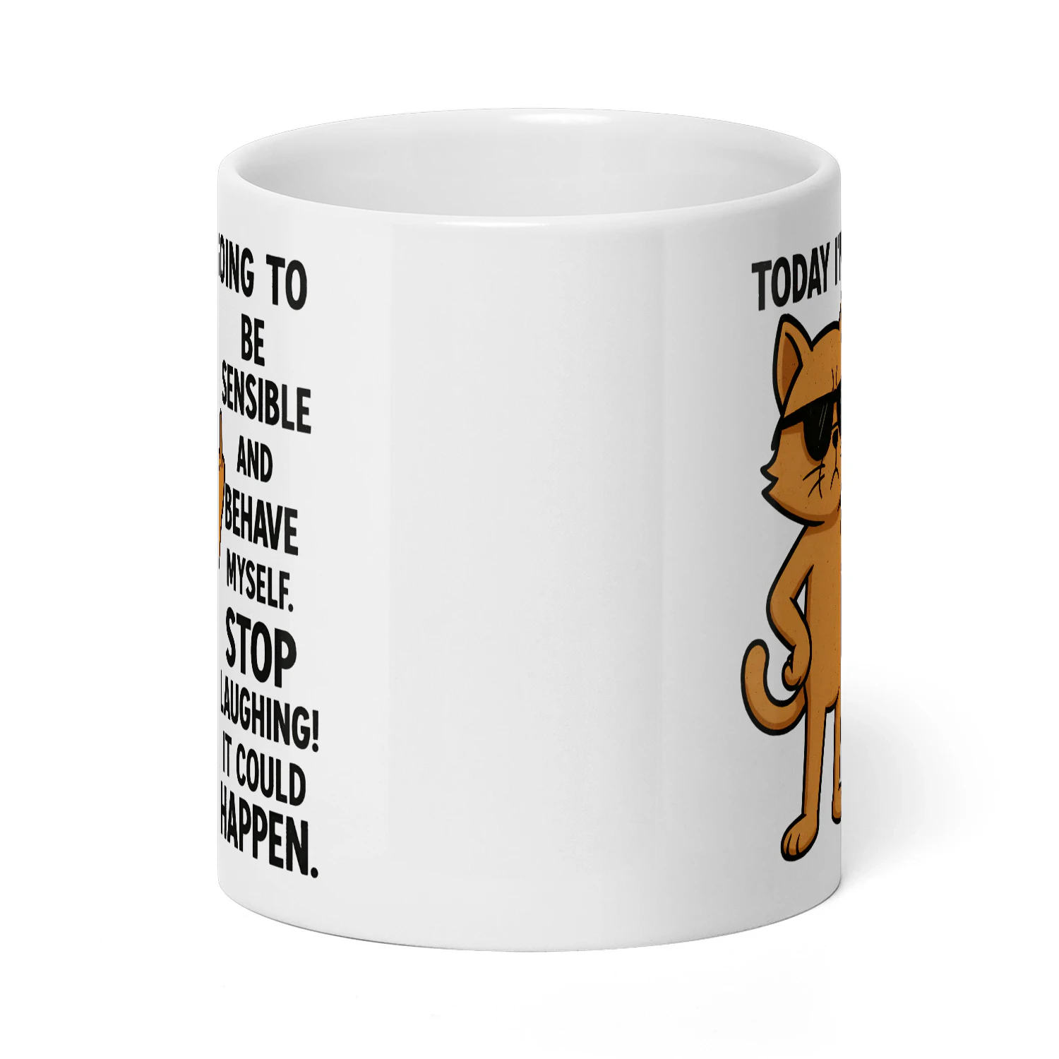Today I'm Going To Be Sensible- Cat