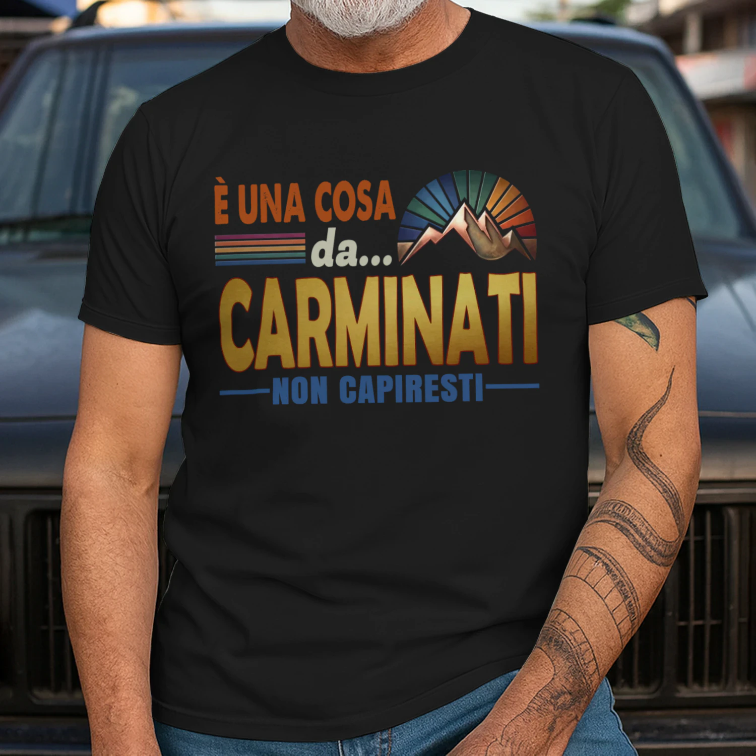 carminati-cit133-cit1646