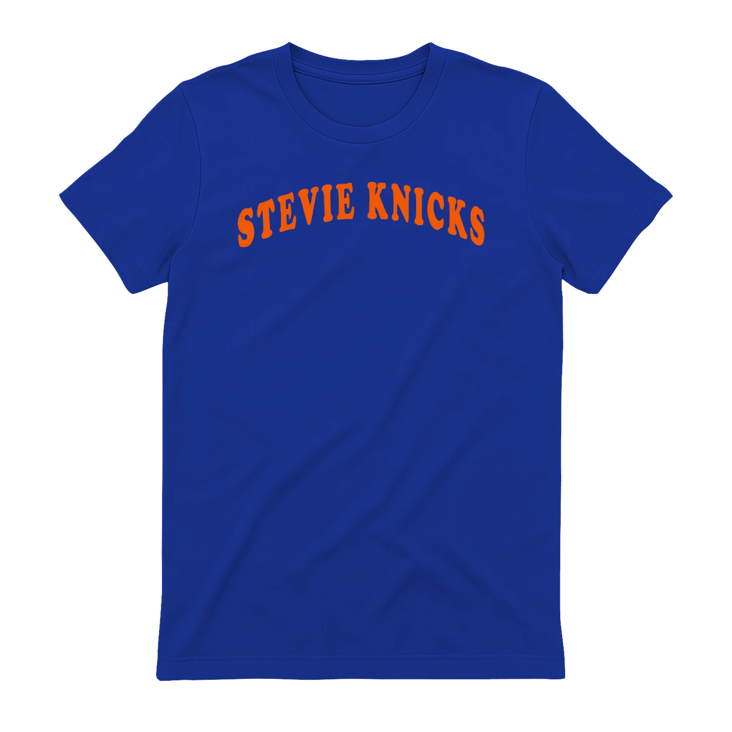Taylor Swift Stevie Knicks