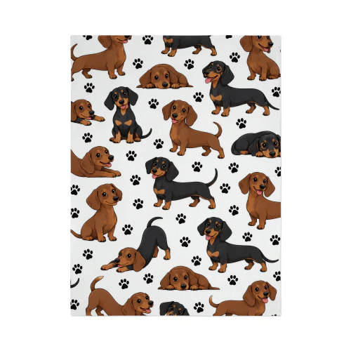 Dachshund 