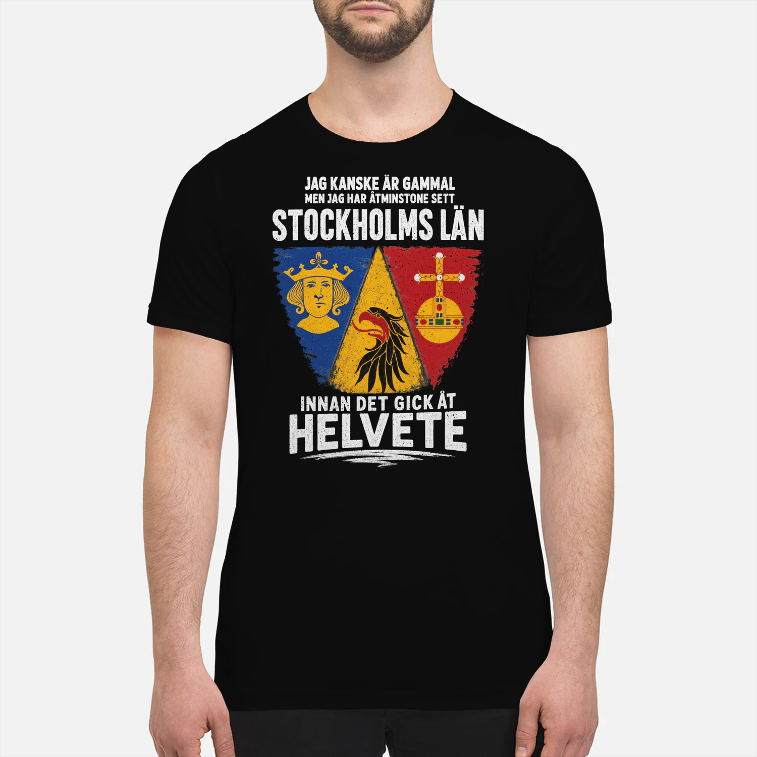 Jag kanske är gammal men jag har åtminstone sett Stockholms län T-Shirt