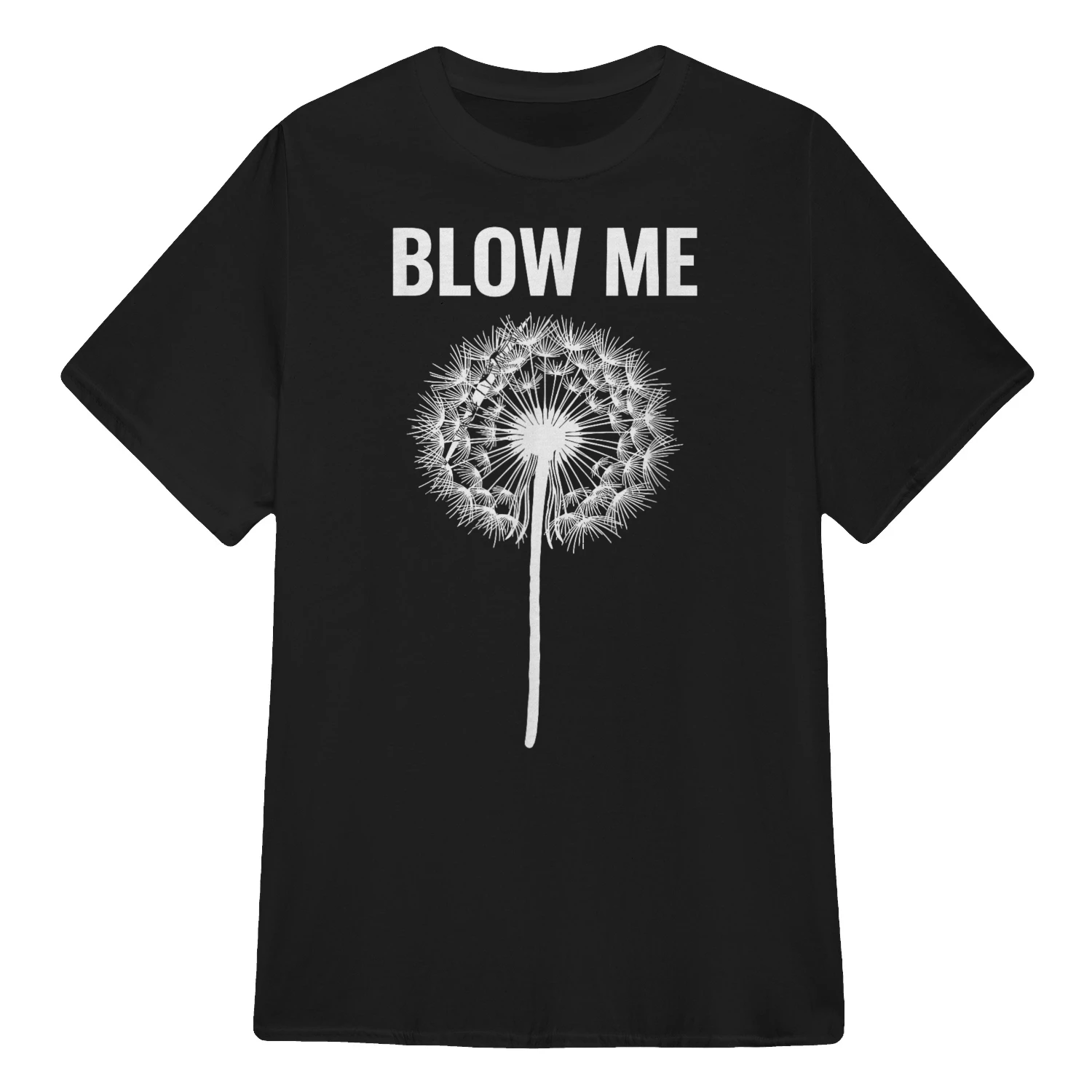Dandelion Blow Me