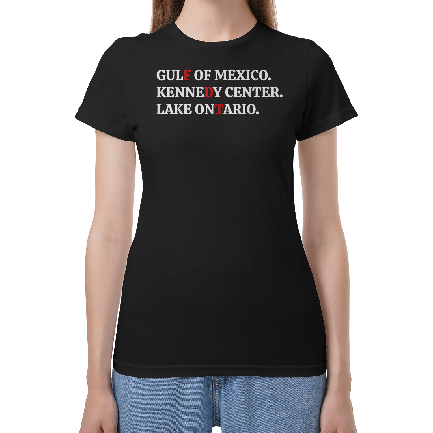 Gulf of Mexico Kennedy Center Lake Ontario Shirt