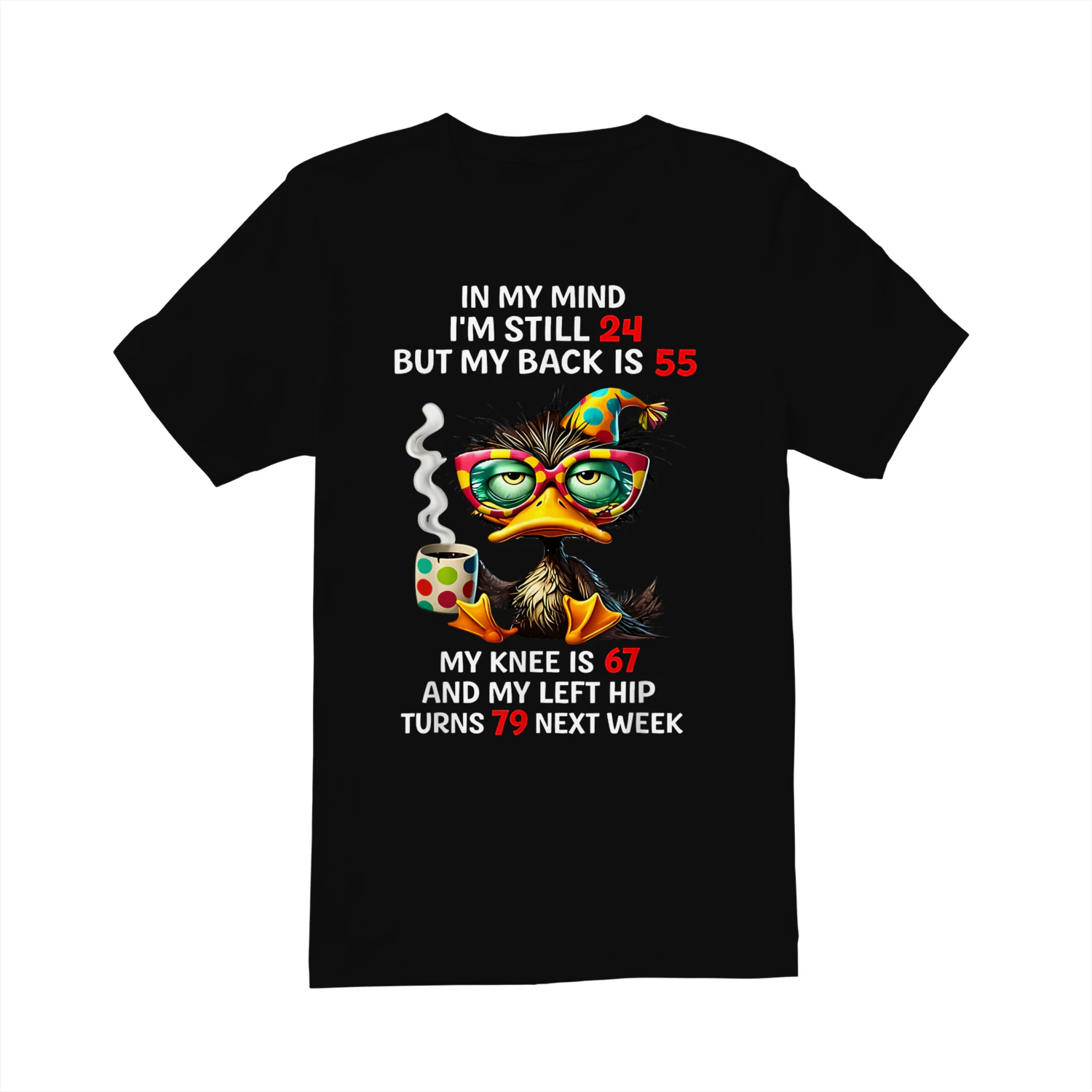 in My Mind Im Still 24 Funny Aging Bird 
