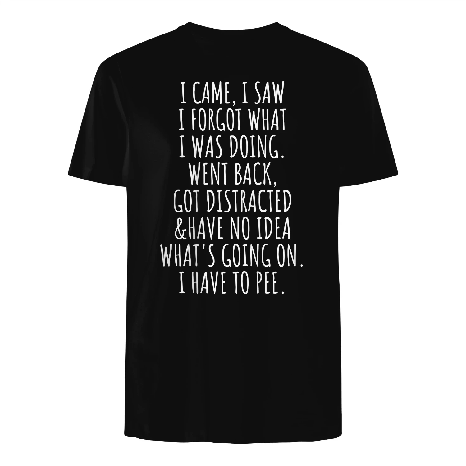I came i saw i forgot what i was doing