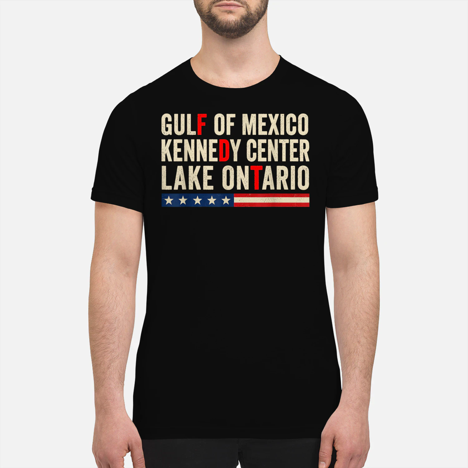Gulf of Mexico Kennedy Center Lake Ontario T-Shirt