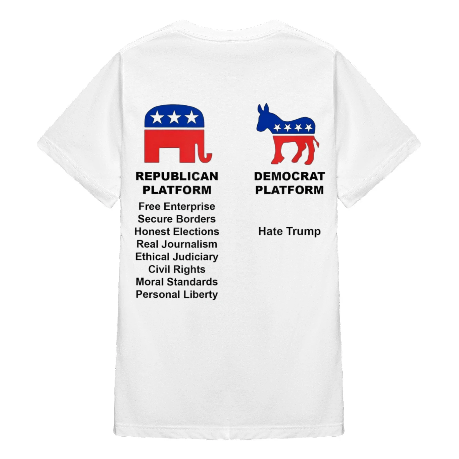 Republicans Democrats Platform 