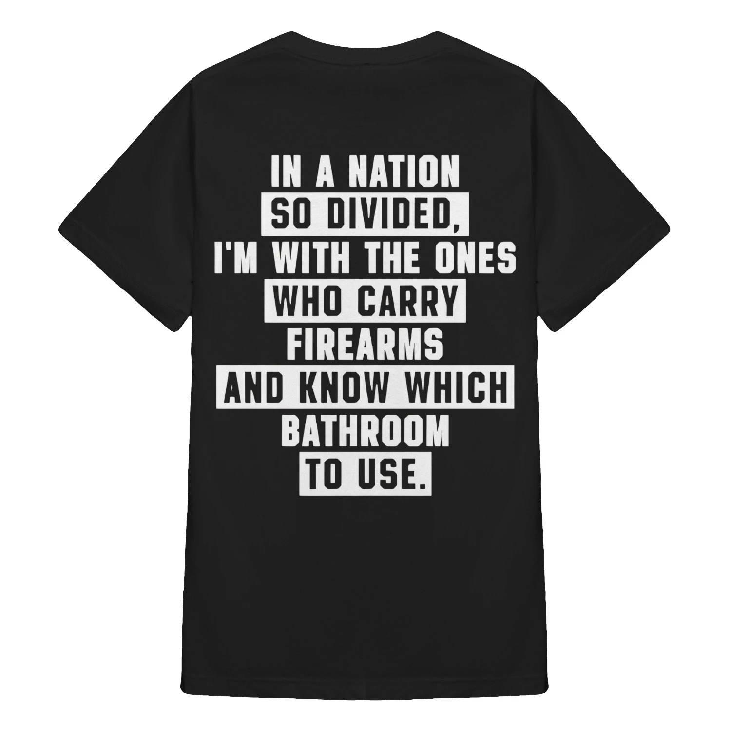 In A Nation So Divided I'm With The Ones Who Carry Firearms T-Shirt
