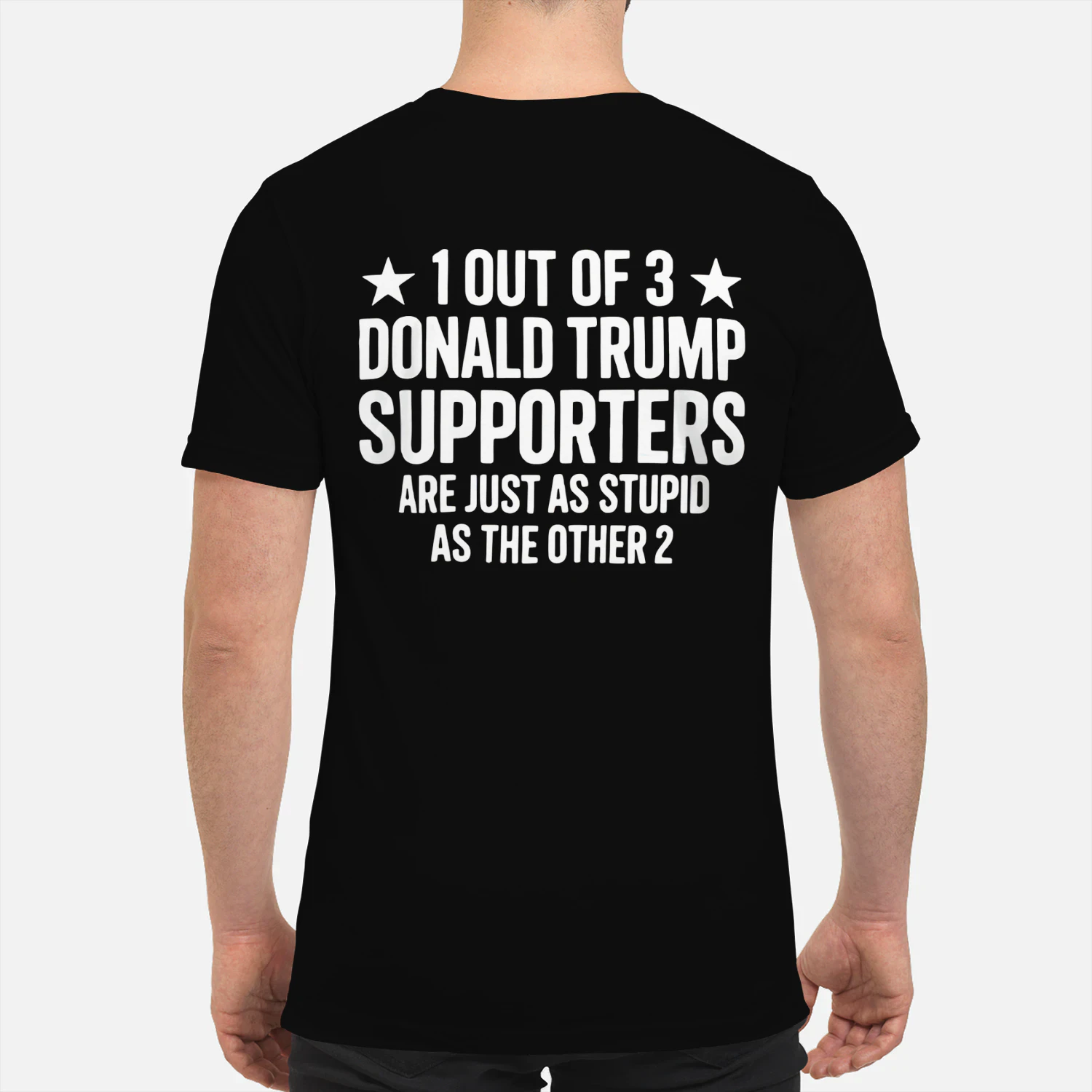 1 OUT OF 3 DONALD TRUMP SUPPORTERS