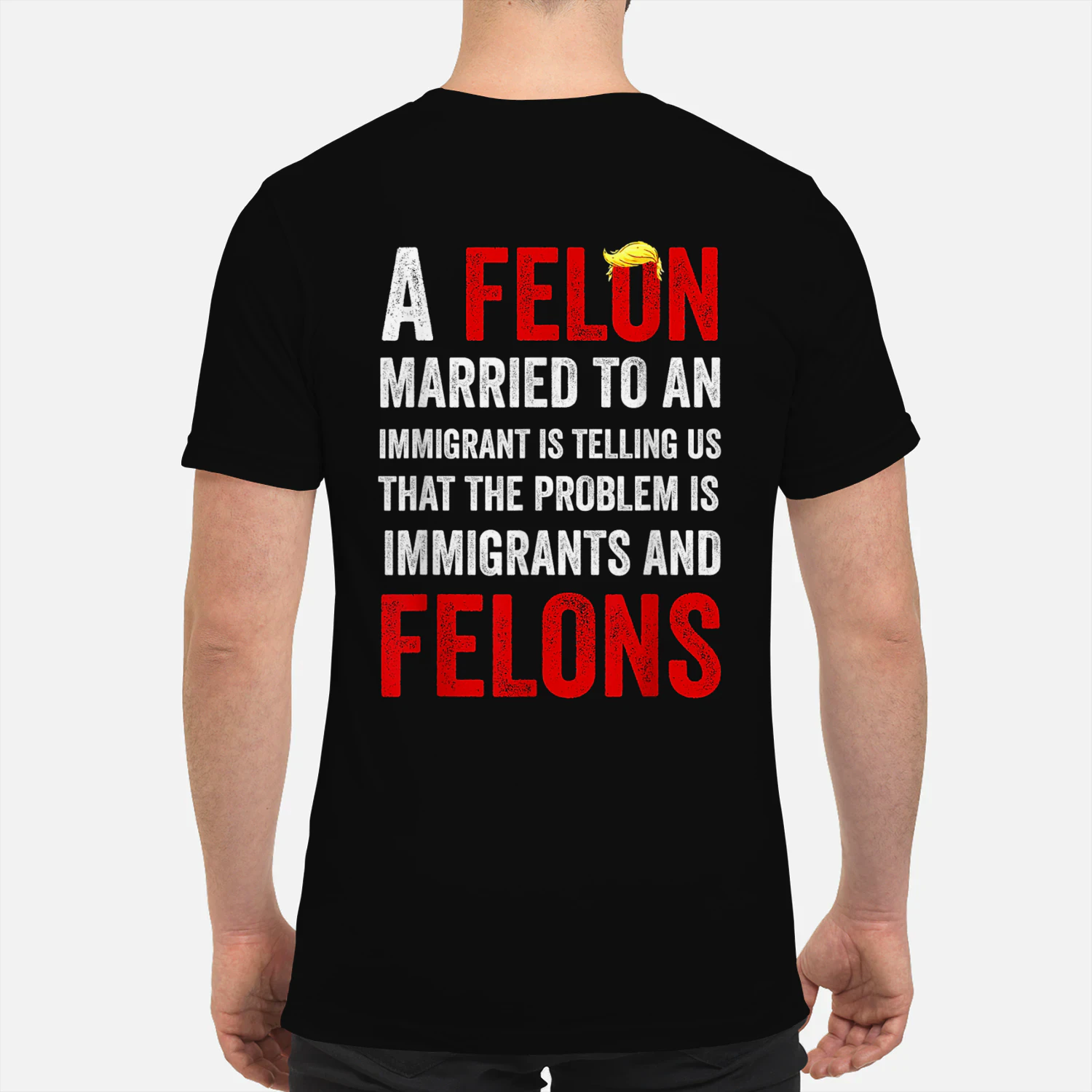 A Felon Married to an Immigrant is Telling Us 