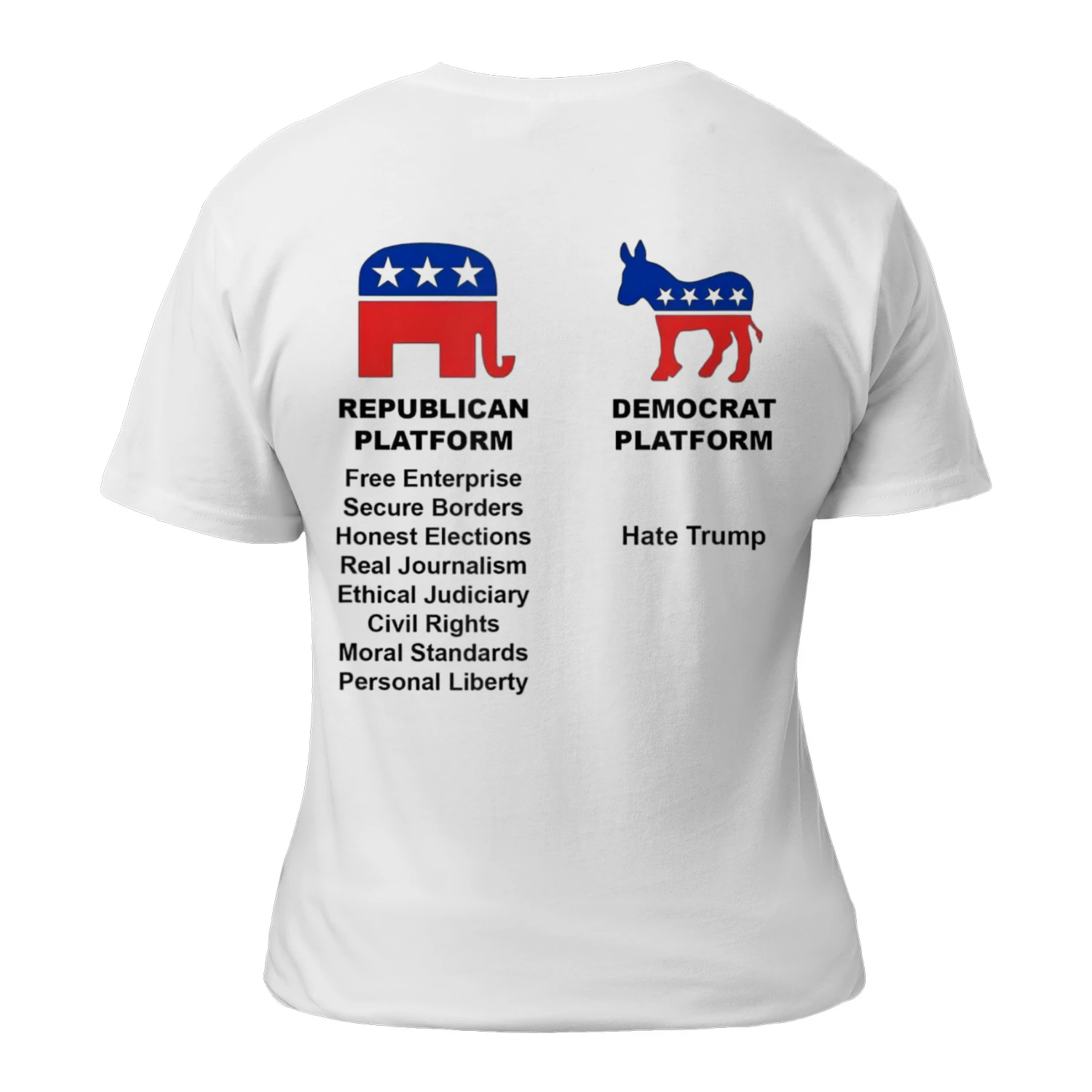 Republicans Democrats Platform 