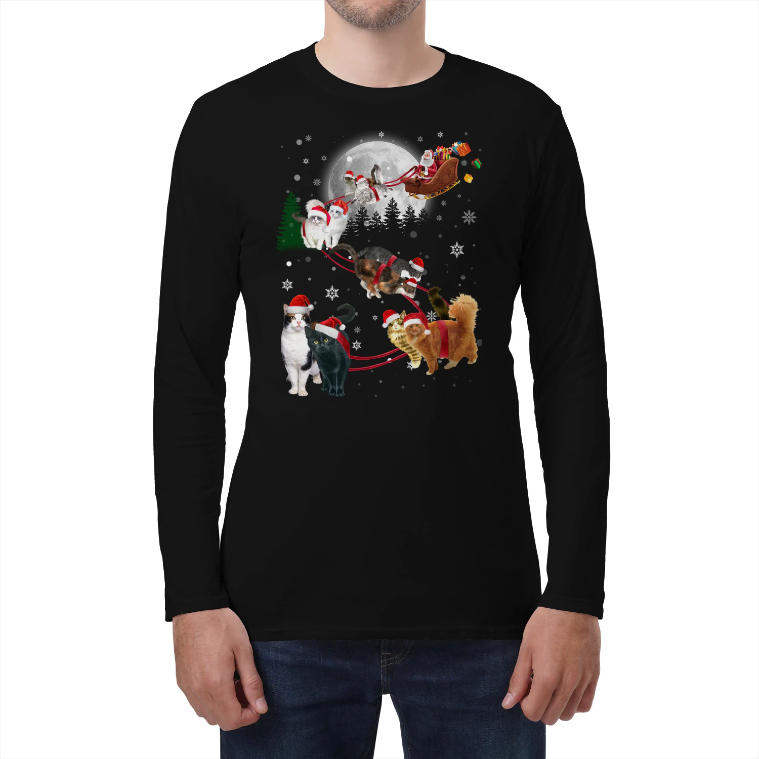 Cat_Santa_Christmas