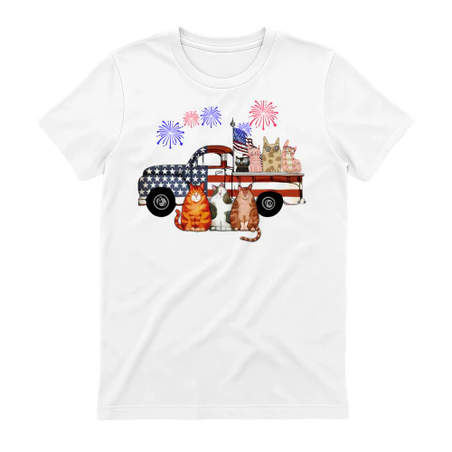 Cat truck firework