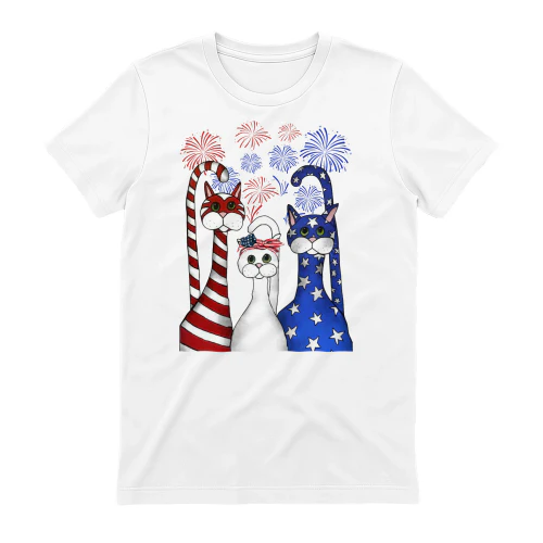 Cat 3 us firework