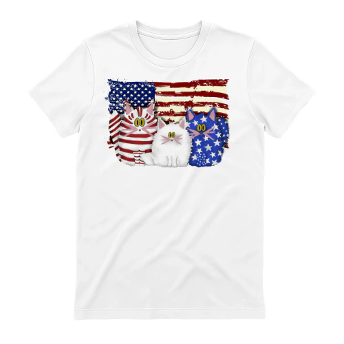 Cat 3 flag us1