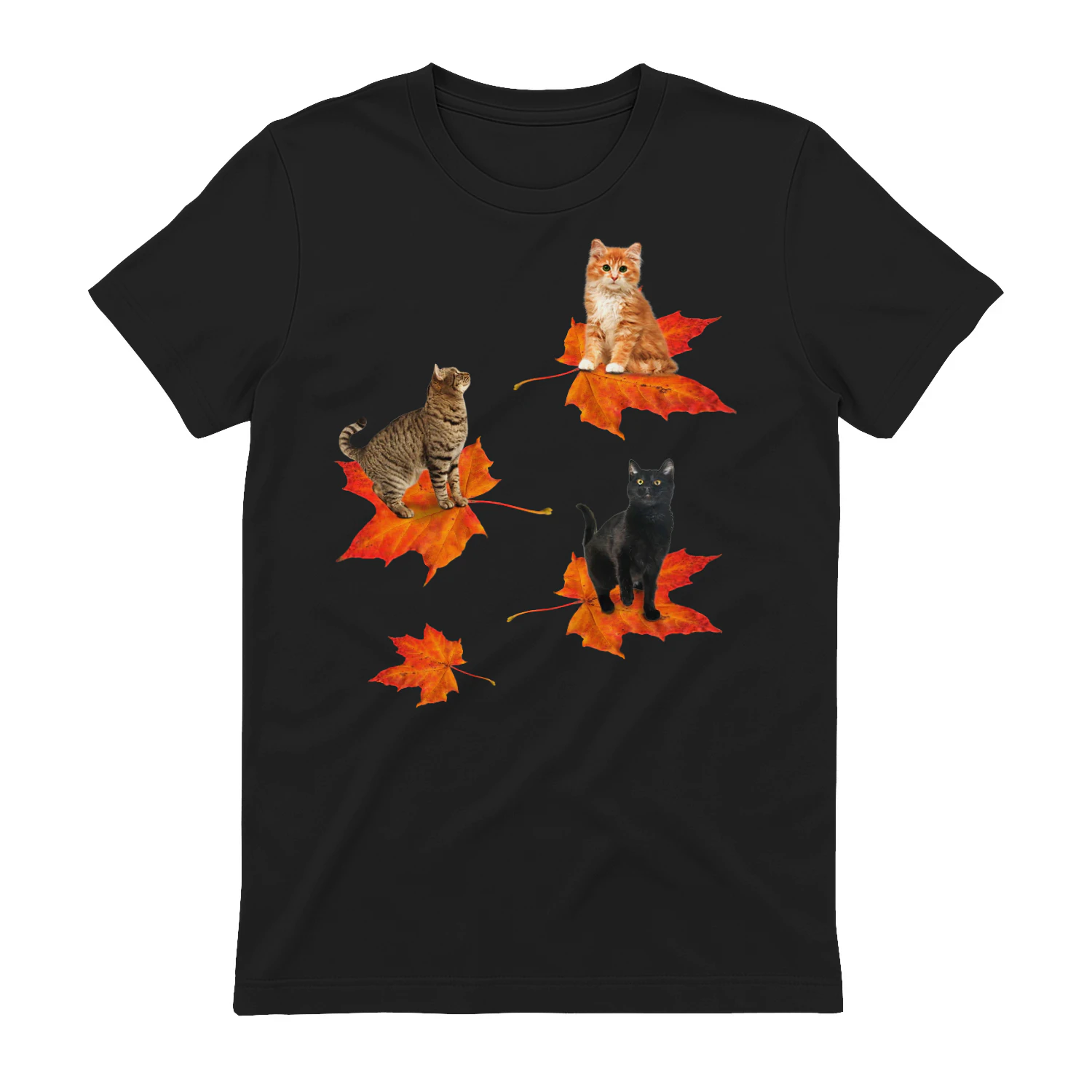 Cat_3_leaf_fall