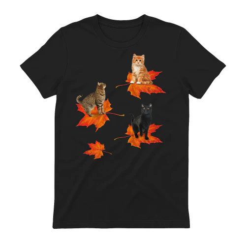 Cat_3_leaf_fall