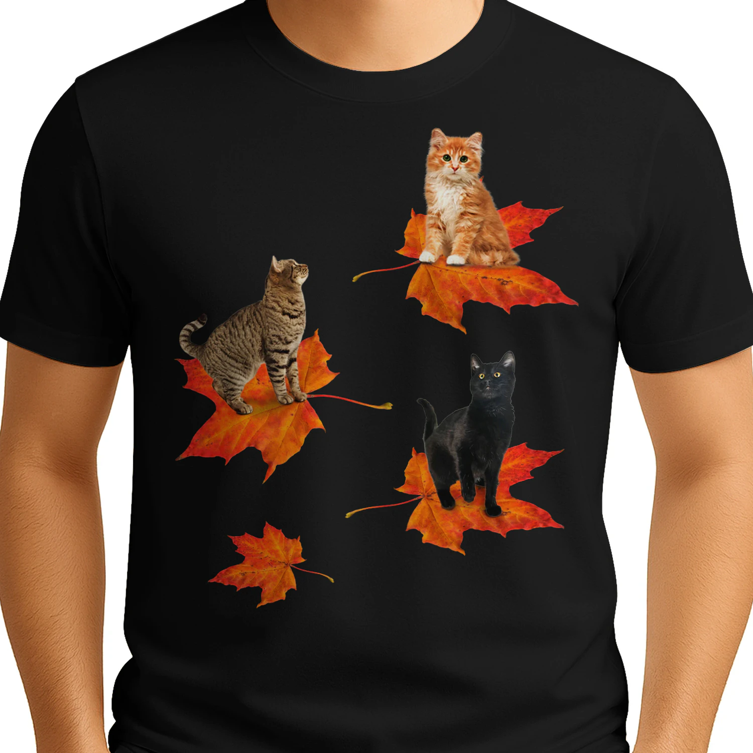 Cat_3_leaf_fall