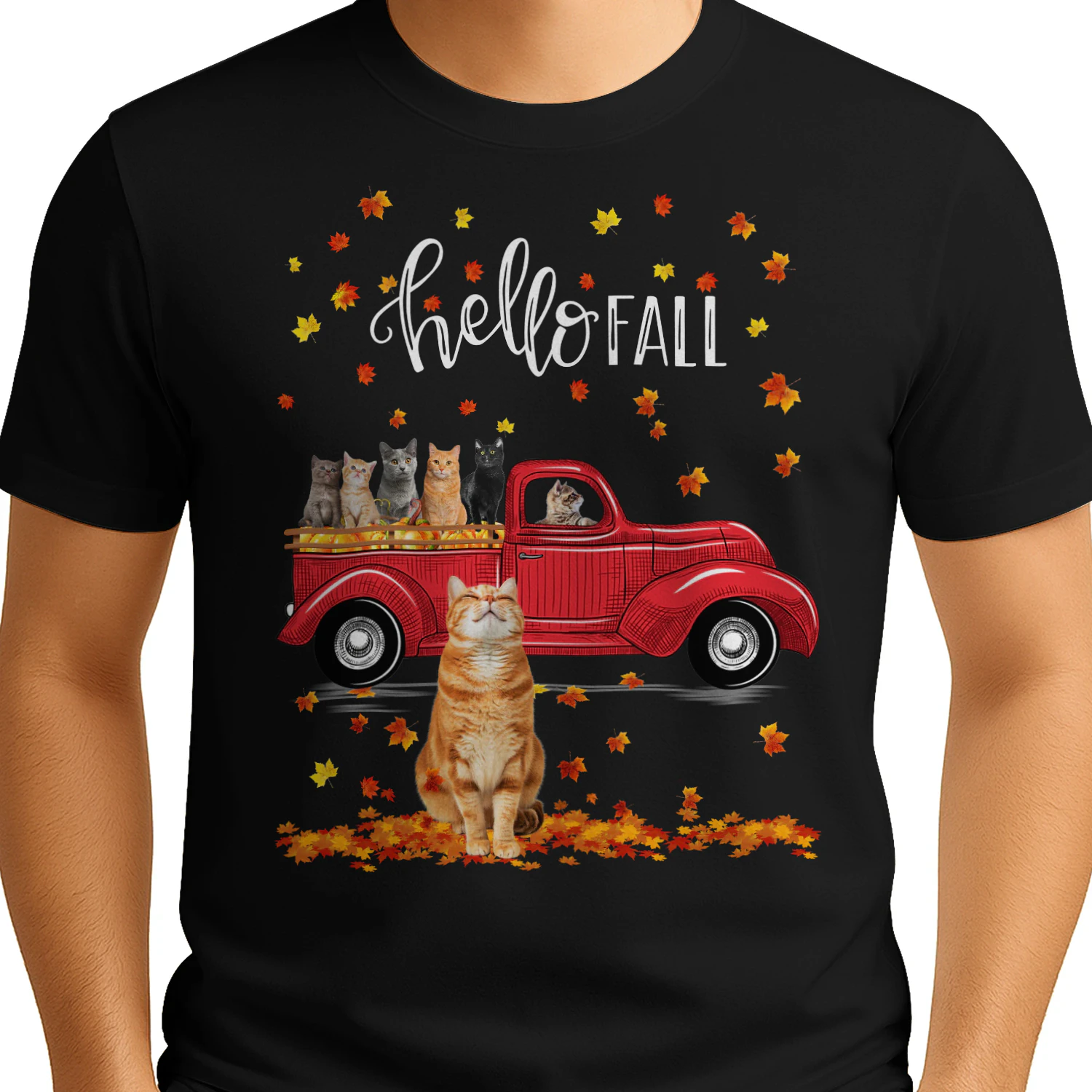 Cat Hello Fall