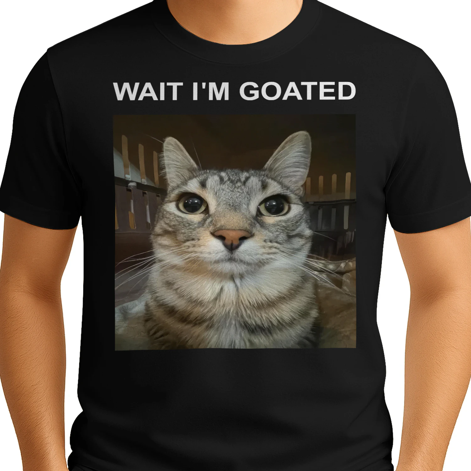Cat Meme L