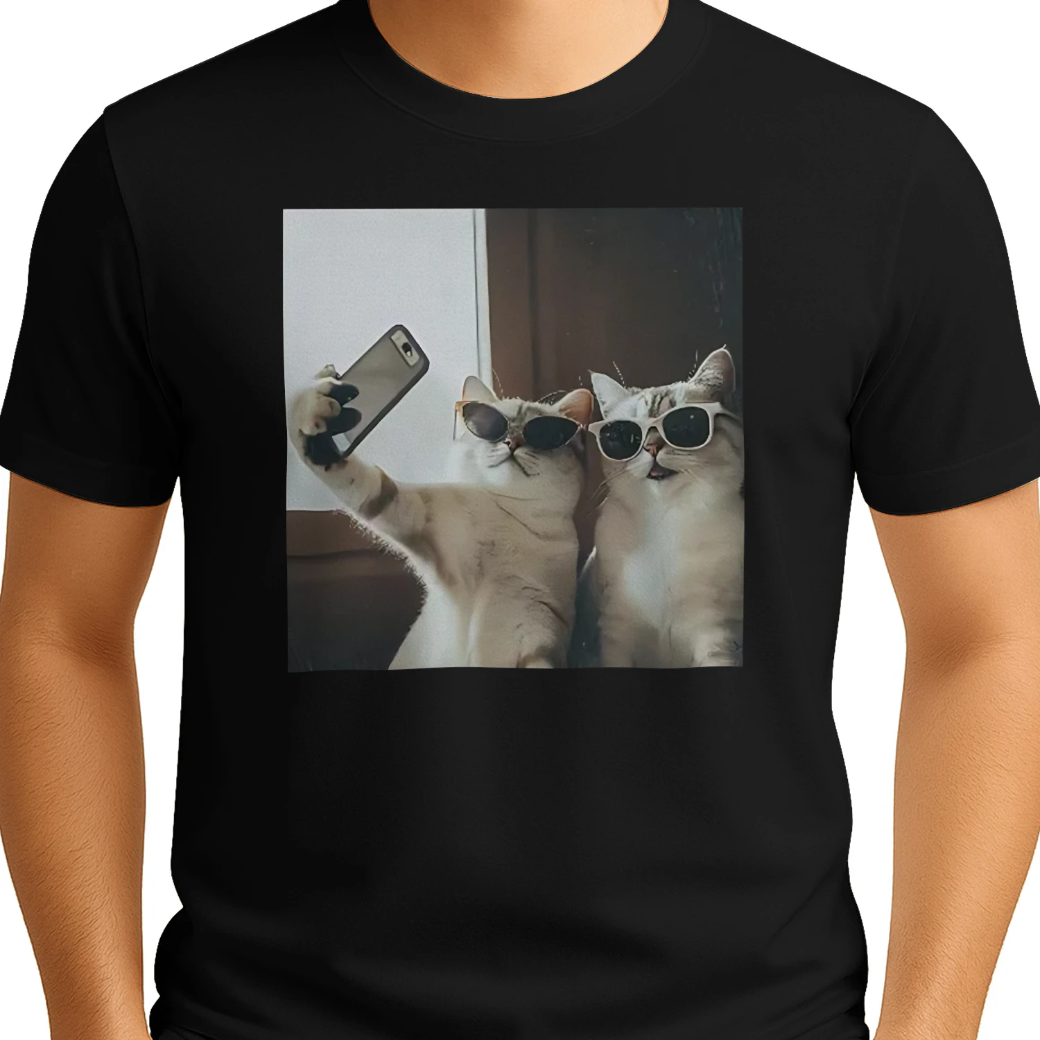 Cat Meme L1