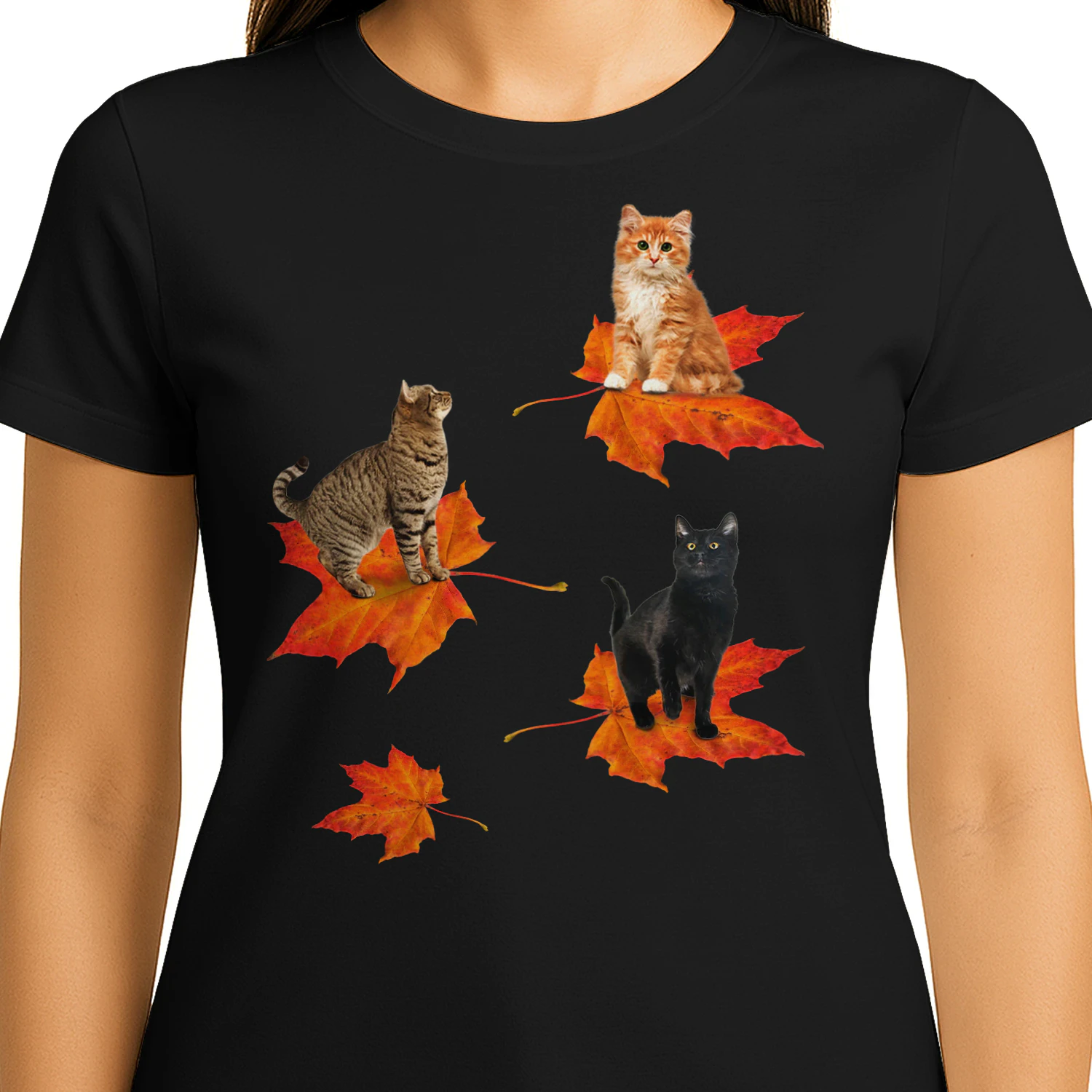 Cat_3_leaf_fall